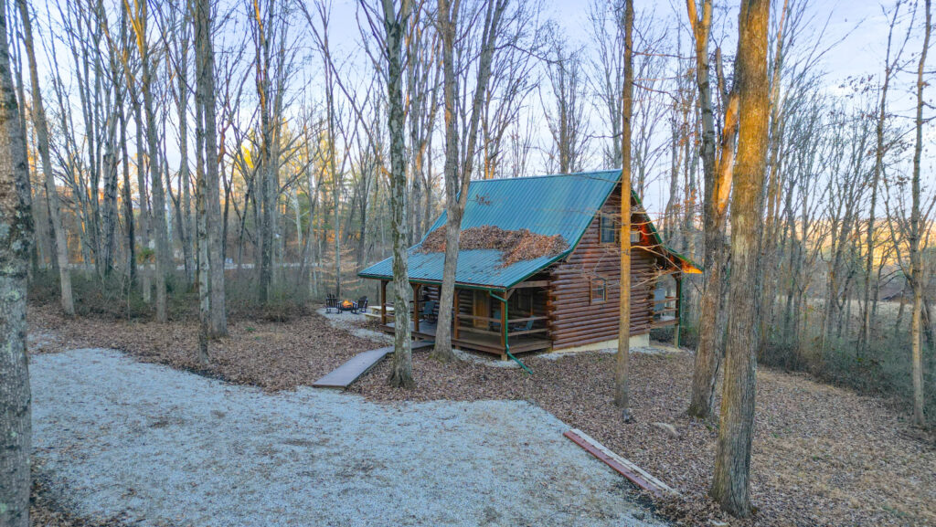 Beech Cabin