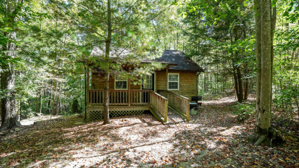 Delaware Cabin